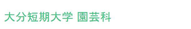 大分短期大学