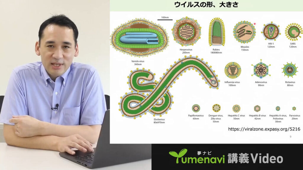 夢ナビ講義動画「ウイルスは敵か味方か?科学で考える」