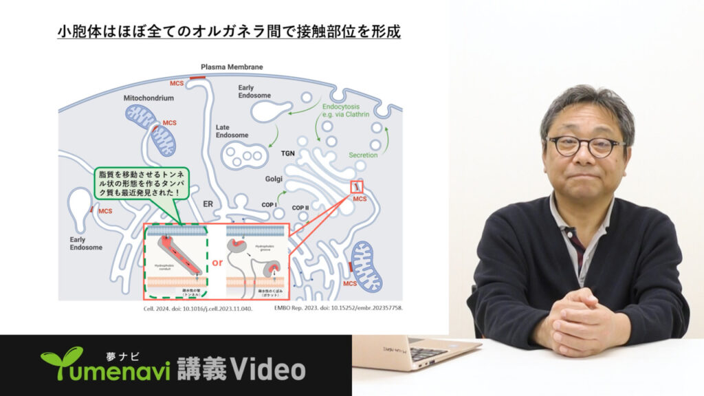 夢ナビ講義動画「どうやって運ぶの?~細胞内の物流のしくみ~」