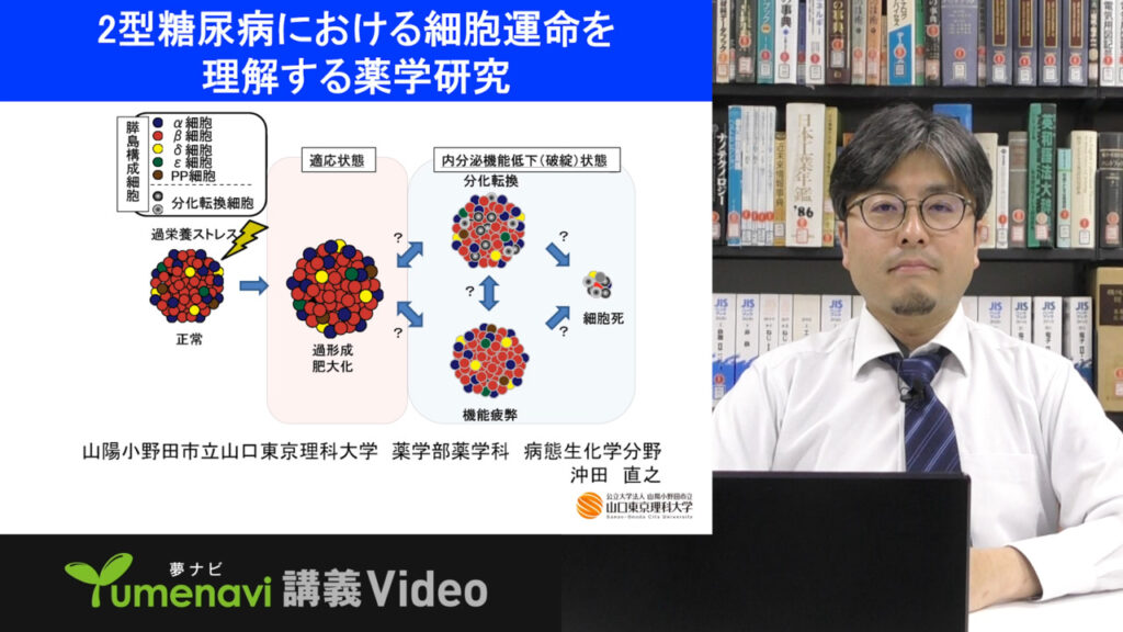 夢ナビ講義動画「2型糖尿病における細胞運命を理解する薬学研究」