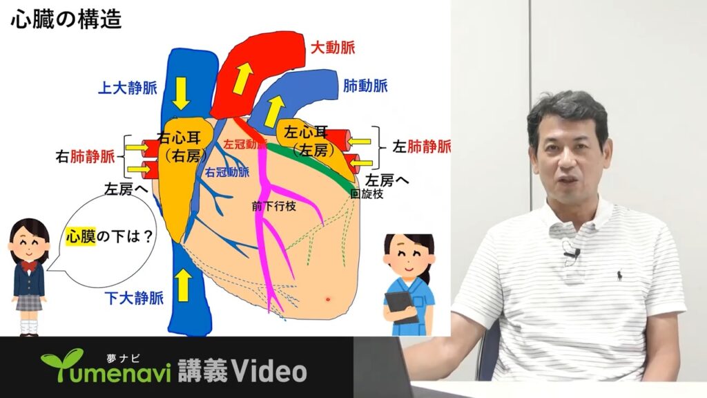 夢ナビ講義動画「診療看護師って何？」