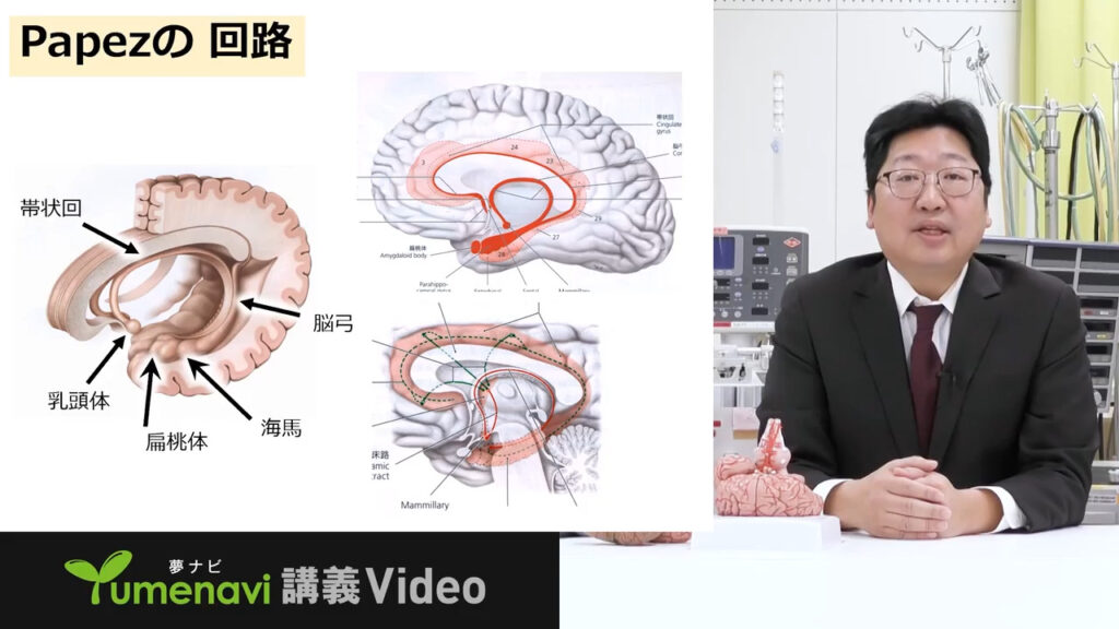 夢ナビ講義動画「脳を電気的に制御できるか？」