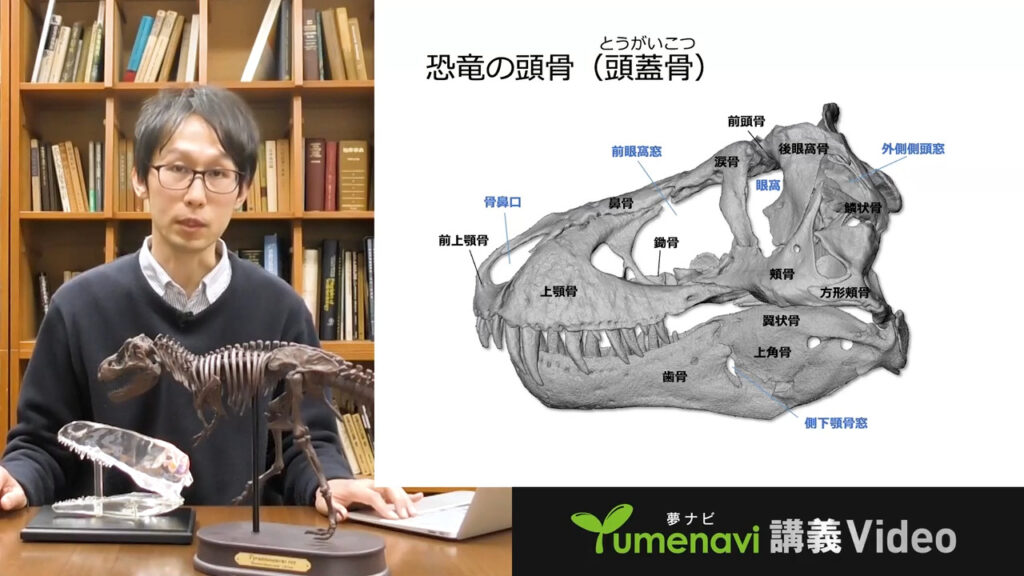 夢ナビ講義動画「デジタル技術を用いた恐竜研究」