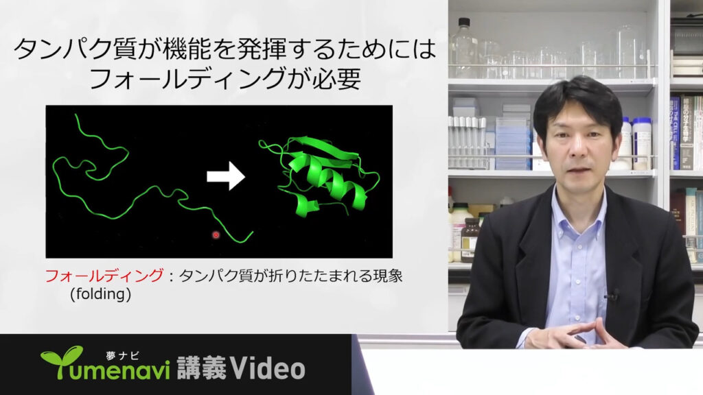 夢ナビ講義動画「遺伝情報の行方 ―生命を動かすタンパク質のひみつ―」