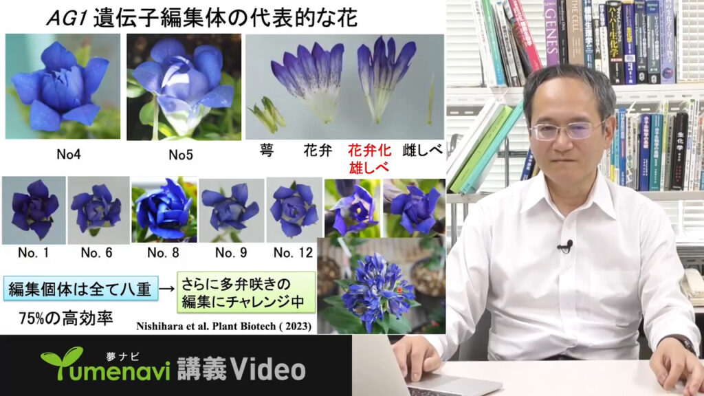 夢ナビ講義動画「遺伝子の力を借りて、花の色や形をデザインする!」