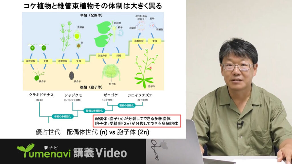 夢ナビ講義動画「コケから考える植物進化の謎」