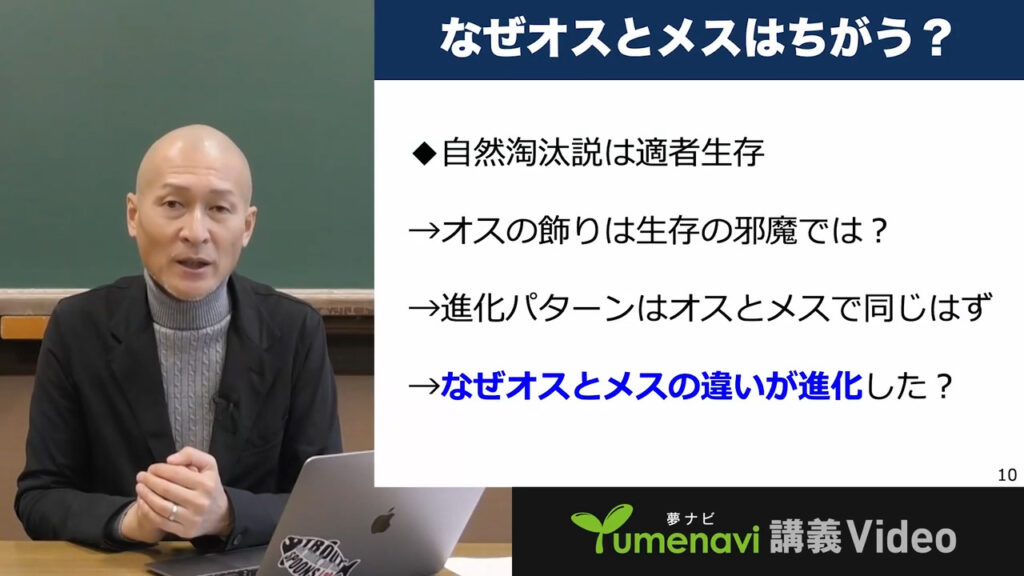 夢ナビ講義動画「オスとメスの違いはなぜ進化?」