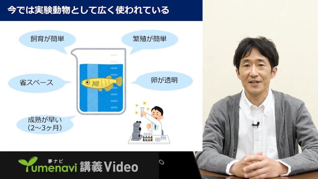 夢ナビ講義動画「メダカの多様性から探るオスメス決定遺伝子の進化」