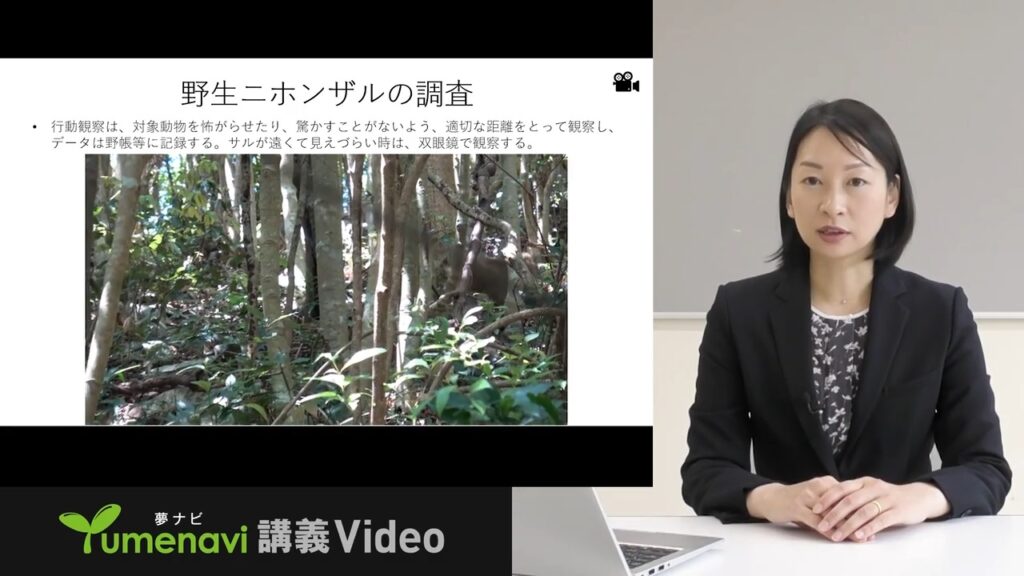 夢ナビ講義動画「フィールドワークで解き明かすニホンザルの生態」