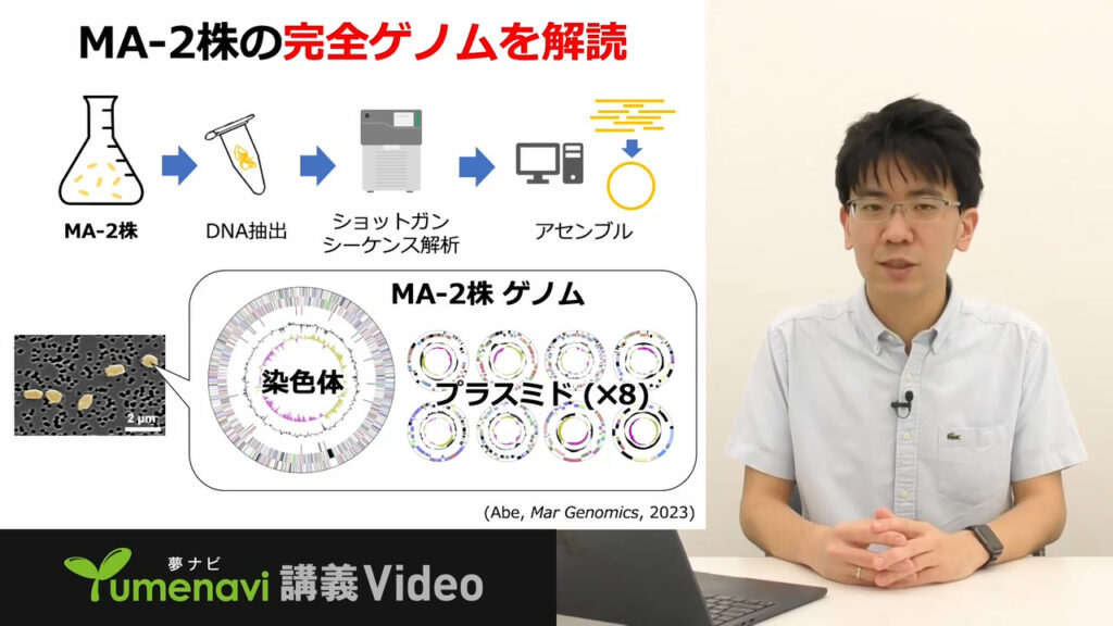 夢ナビ講義動画「海の細菌たちの秘めた能力をゲノム解析で解き明かす」