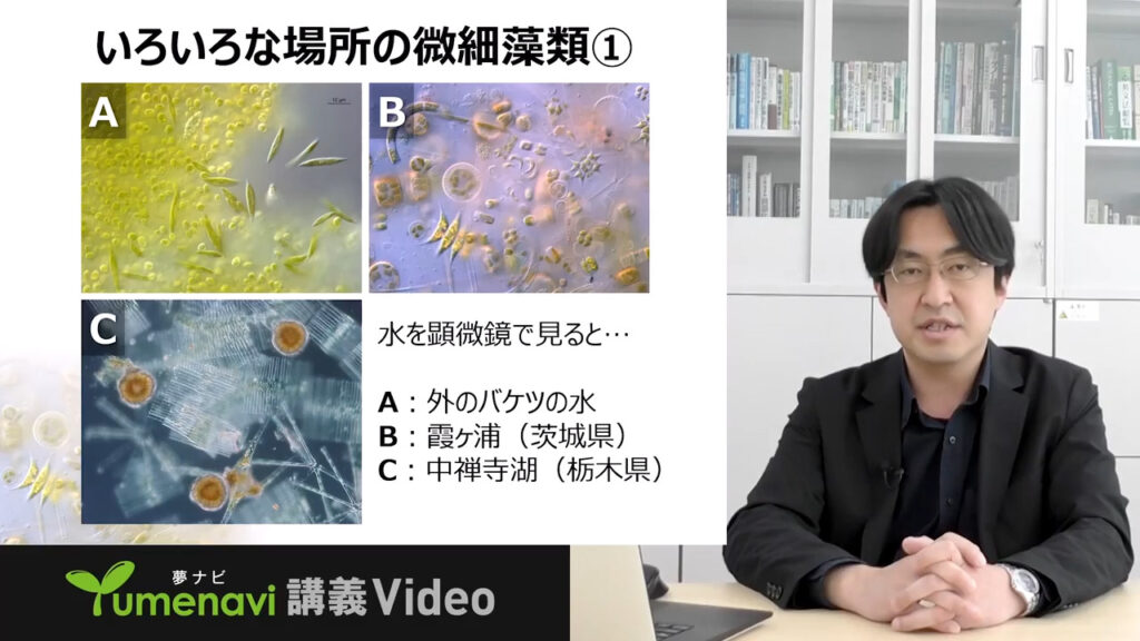 夢ナビ講義動画「食べる・燃やす・楽しむ 藻類バイオマス」