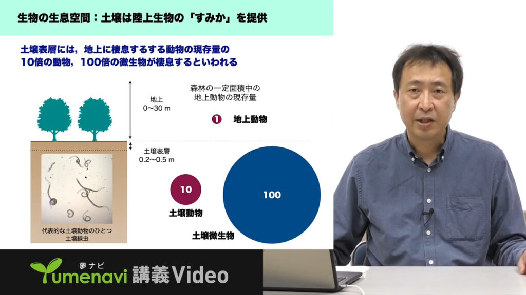 夢ナビ講義動画「土壌を守る フッ素による土壌汚染実態と植物への影響」