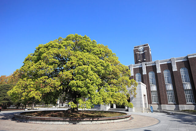 京都大学