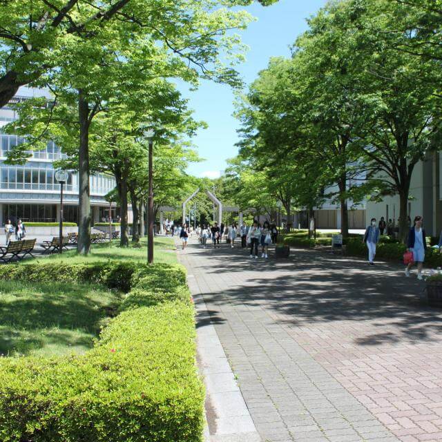 医療創生大学 文学部（仮称）※設置者変更認可申請中　設置計画は予定であり、内容が変更になる場合があります。