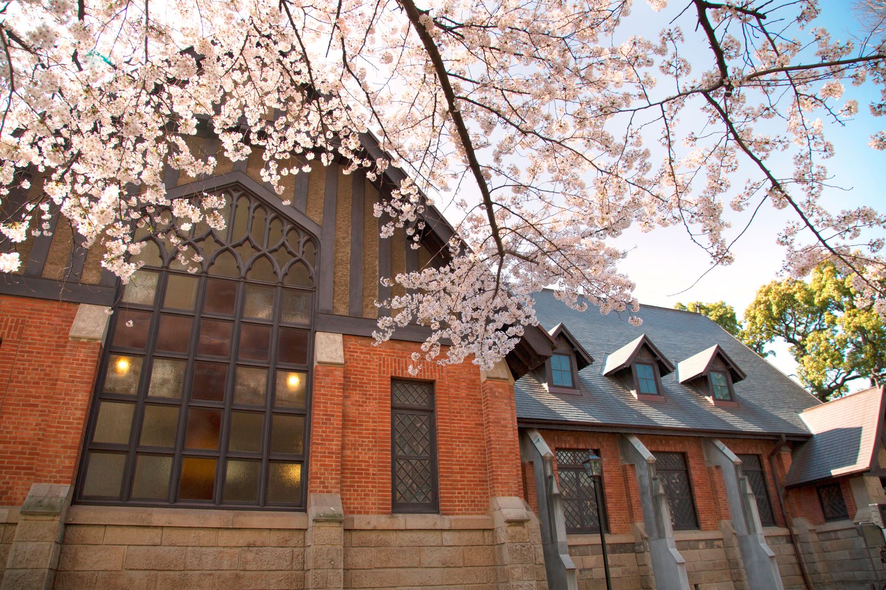 明治学院大学の春のオープンキャンパス(白金キャンパス)