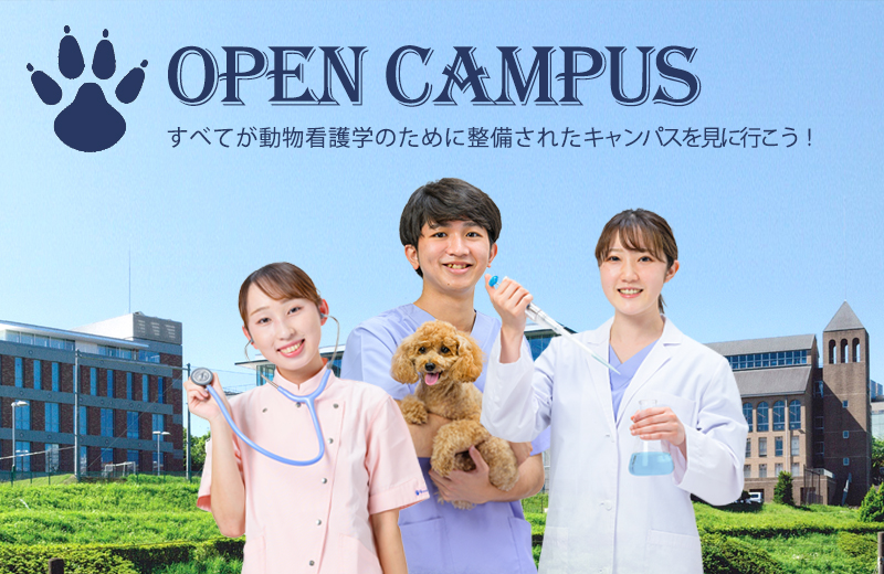 ヤマザキ動物看護大学の来場型オープンキャンパス