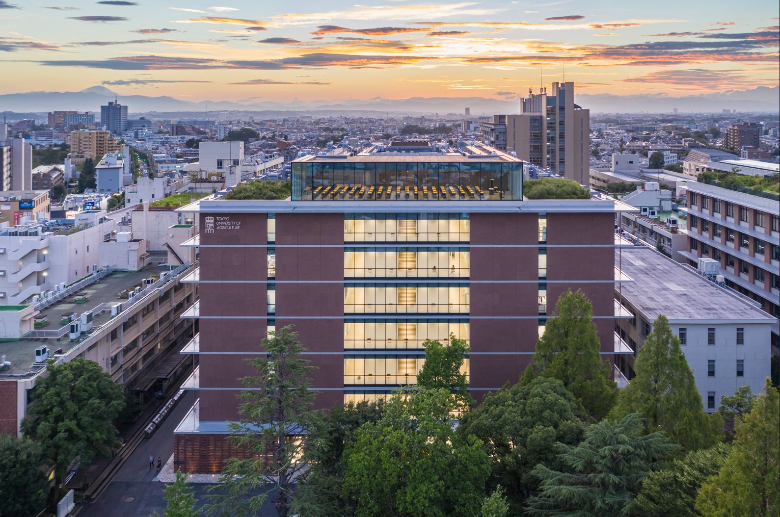 東京農業大学の世田谷キャンパス キャンパスツアー