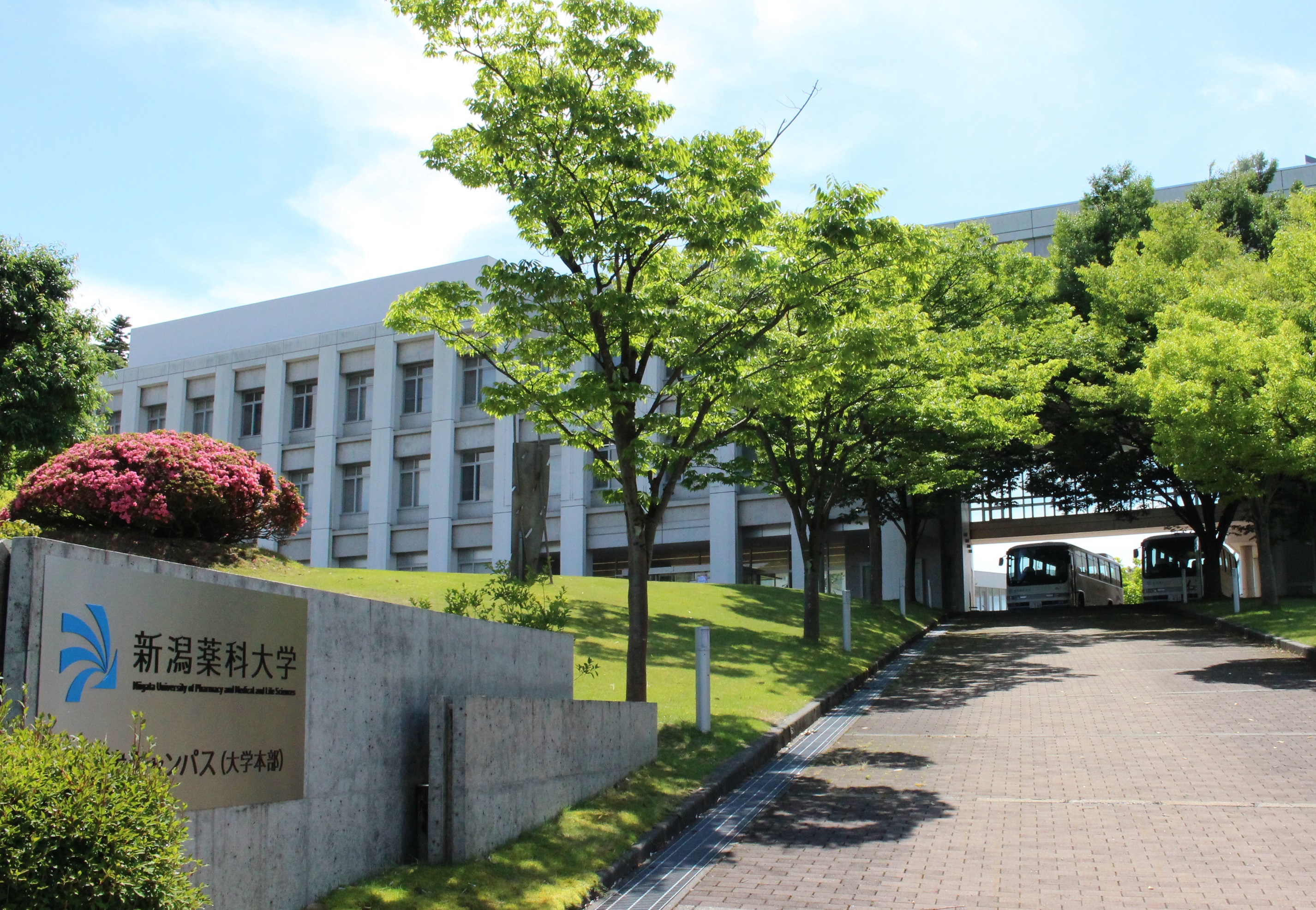 新潟薬科大学 学校情報 パンフ 願書請求 テレメール進学サイト 新潟薬科大学 学校情報 パンフ 願書請求 テレメール進学サイト