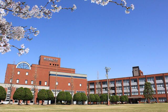 テレメール