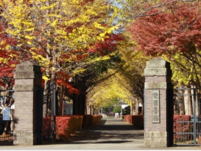 愛国学園 四街道キャンパス