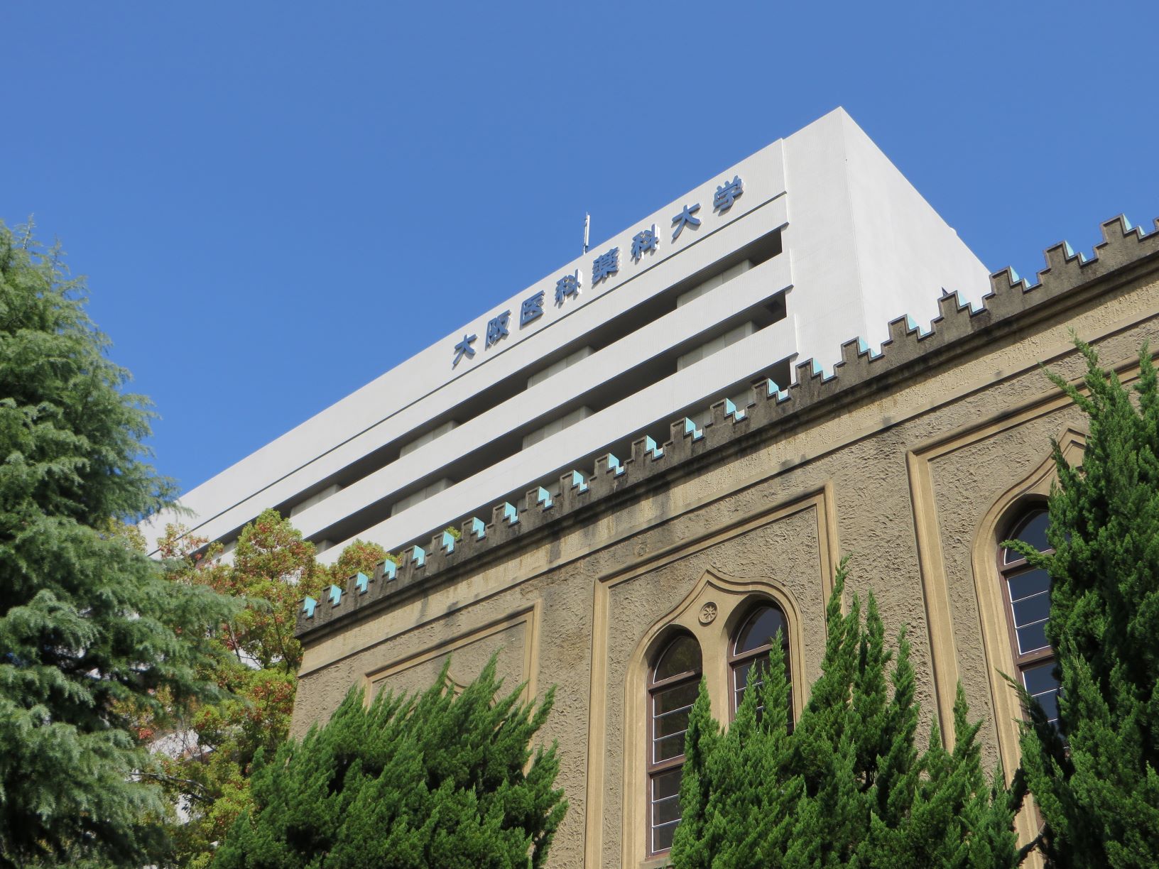 本部キャンパス