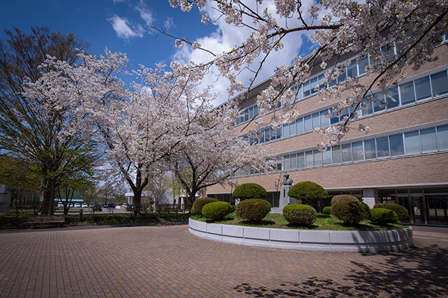 八戸学院大学のはちがく春のオープンキャンパス