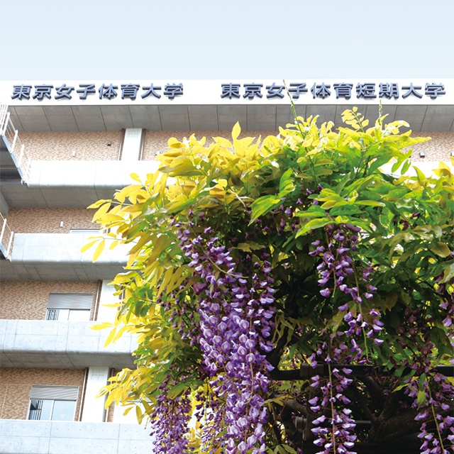東京女子体育大学 学校情報 パンフ 願書請求 テレメール進学サイト 東京女子体育大学 学校情報 パンフ 願書請求 テレメール進学サイト
