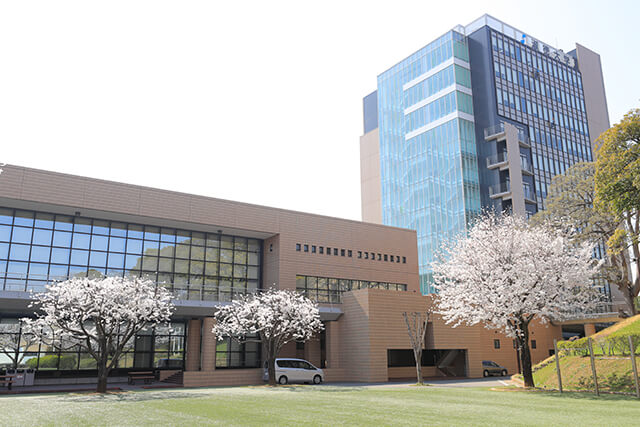 淑徳大学 千葉 千葉第二キャンパス 学校情報 パンフ 願書請求 テレメール進学サイト 淑徳大学 千葉 千葉第二キャンパス 学校情報 パンフ 願書請求 テレメール進学サイト