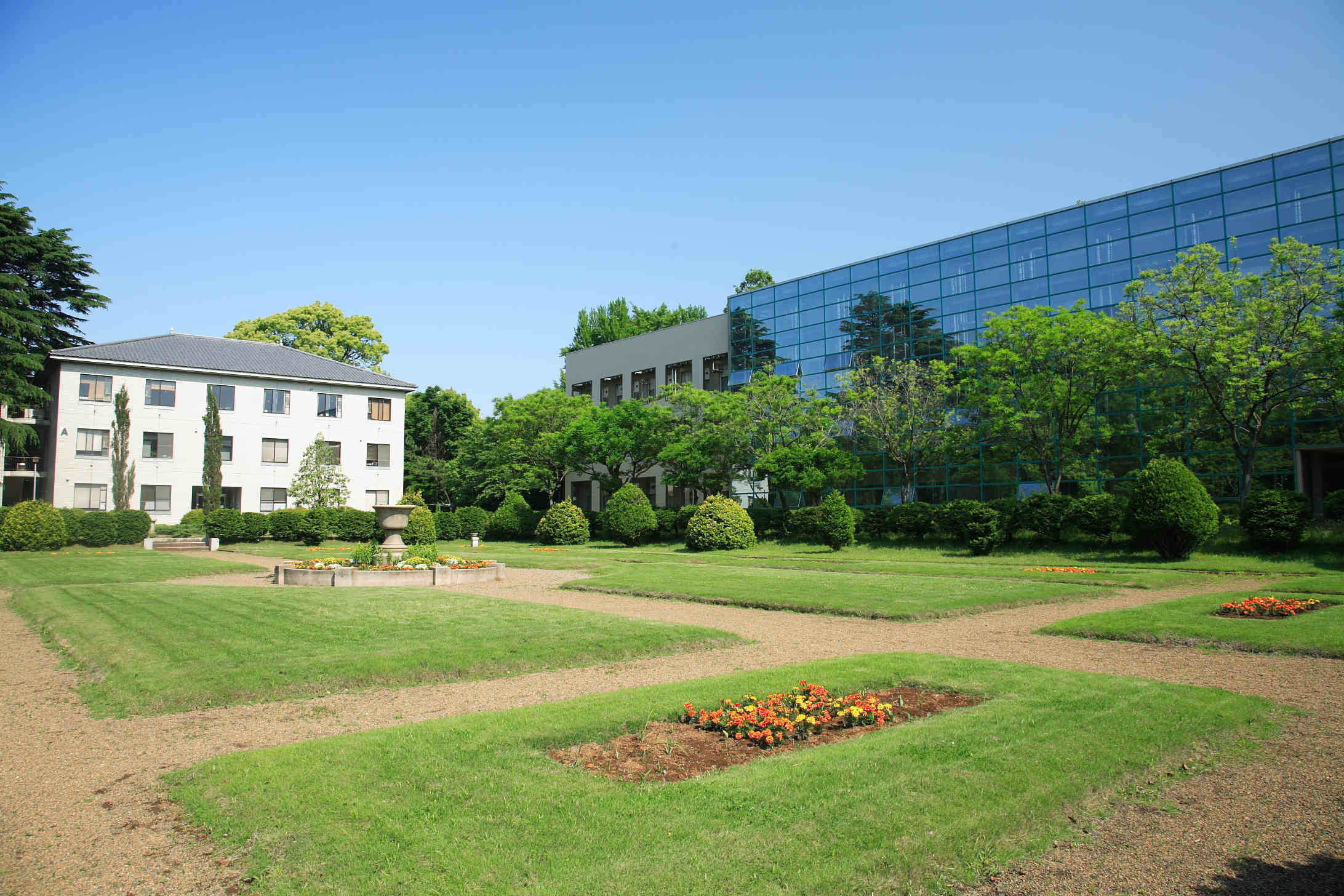 松戸キャンパス