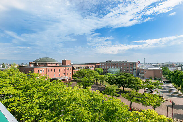 新潟県立大学 学校情報 パンフ 願書請求 テレメール進学サイト 新潟県立大学 学校情報 パンフ 願書請求 テレメール進学サイト