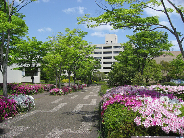 兵庫教育大学の夏のオープンキャンパス2024