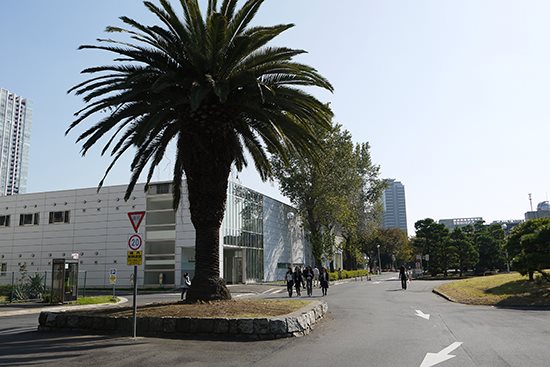 東京海洋大学のオープンキャンパス2024夏　品川キャンパス（海洋生命科学部）