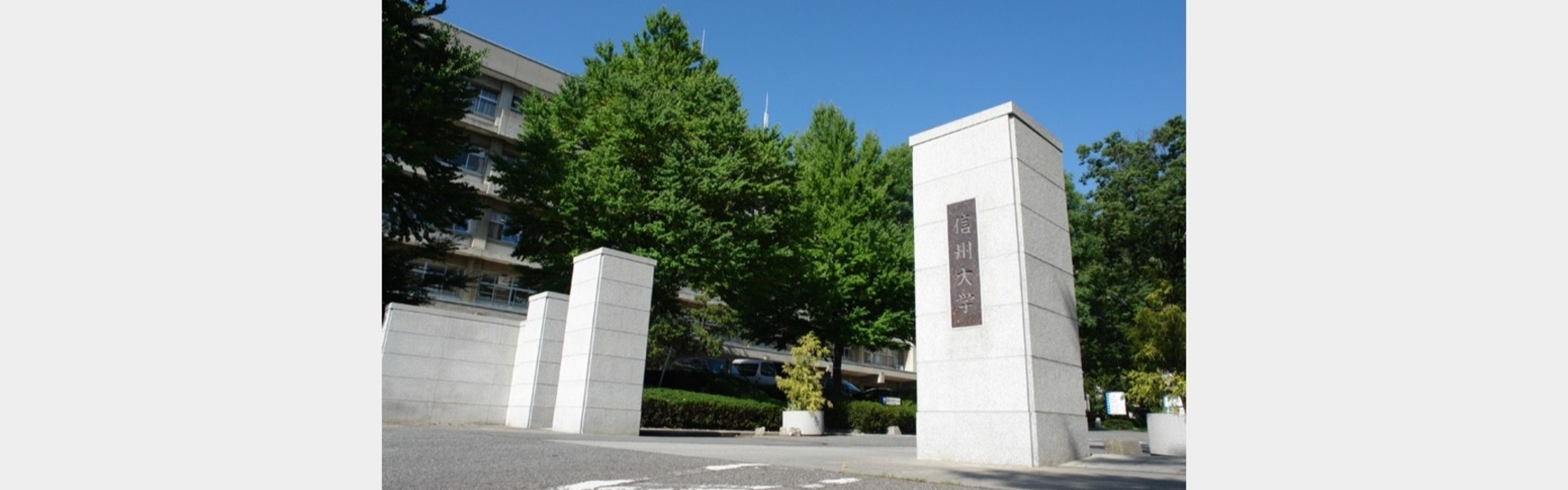 信州大学医学部の紹介 | テレメール進学サイト