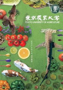 東京農業大学 農学部