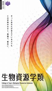 筑波大学