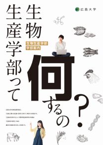 広島大学