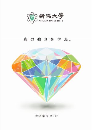 パンフを見てみる テレメール進学サイト