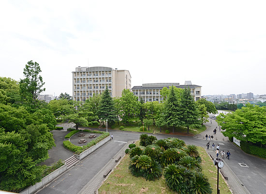 名古屋 市立 大学 合格 発表