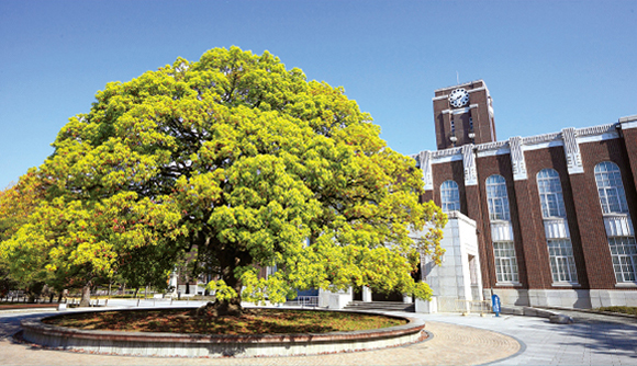 京都大学