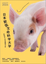 大学案内資料（2026年度版）